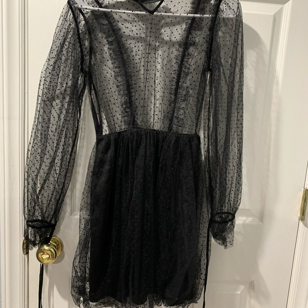 Woman’s Small Cute Sheer Dress